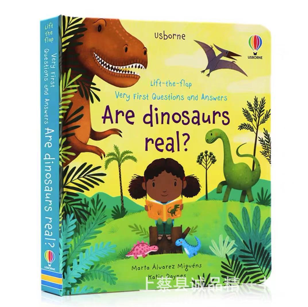 Usborne English Children's Questions and Answers Lift the flap Children's Popular Science Enlightenment Cognition Flip Books (Copy) (Copy)