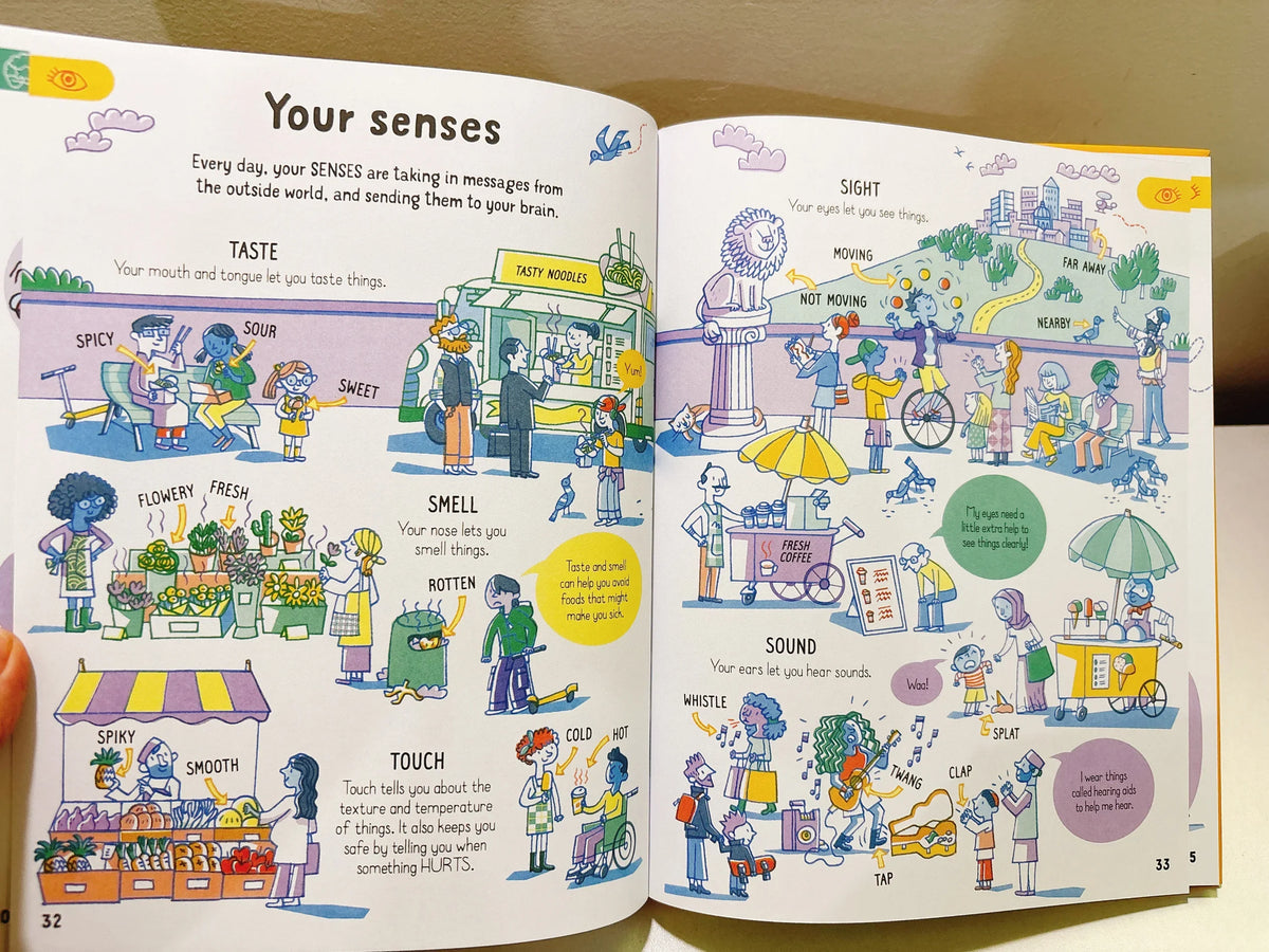 All You Need to Know about Your Body by Age 7 Children Educational English Picture Reading Book